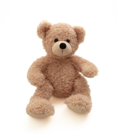 Teddy